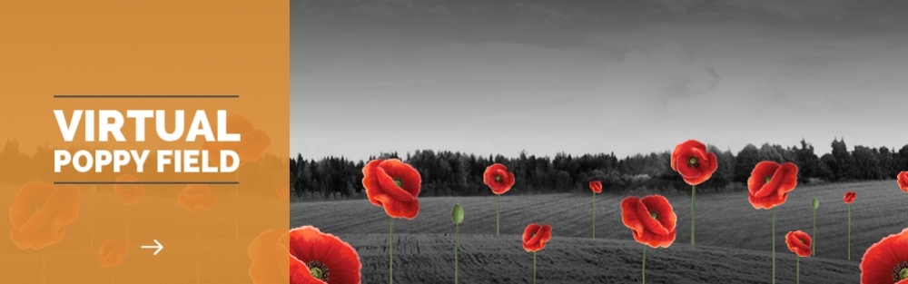 Virtual Poppy Field